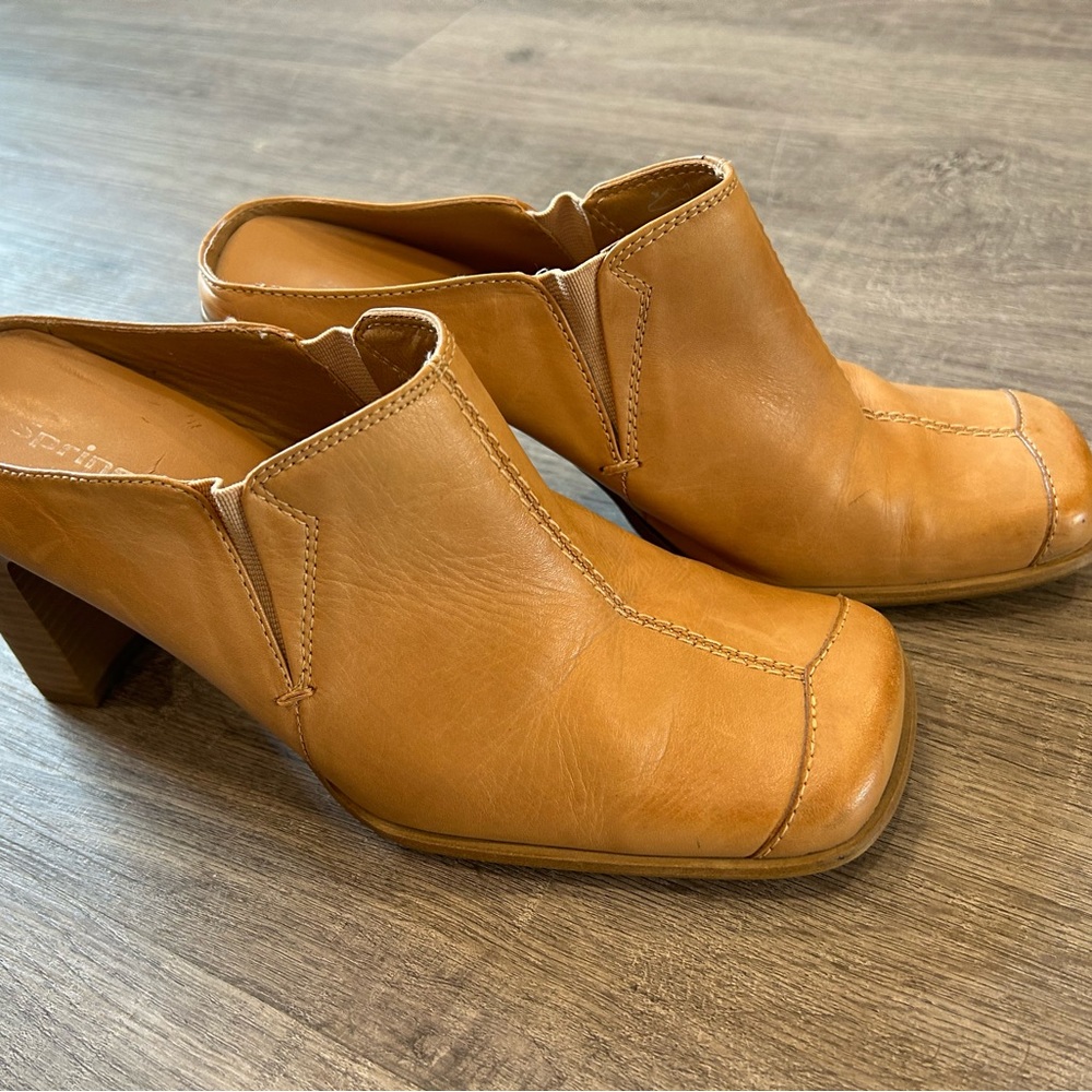 Spring clog